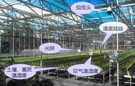 433M無(wú)線串口模塊E30-TTL-100在農(nóng)業(yè)物聯(lián)網(wǎng)應(yīng)用