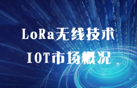 LoRa無線技術(shù)在物聯(lián)網(wǎng)應(yīng)用市場(chǎng)的概況和發(fā)展
