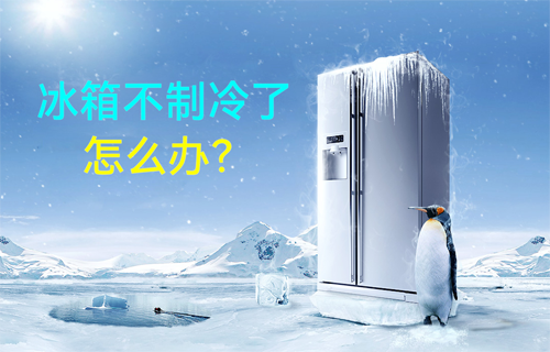 【物聯(lián)網(wǎng)科普視頻】智能冰箱不制冷了怎么辦？
