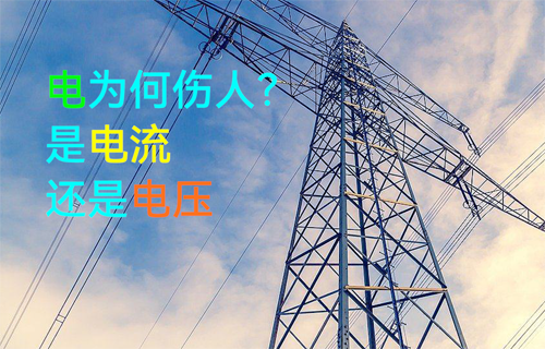 【科普視頻】觸電傷人的到底是什么？