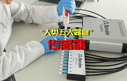 【科普視頻】你知道“人類五大感覺器官”傳感器有哪些嗎？
