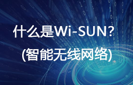 什么是Wi-SUN無(wú)線網(wǎng)絡(luò)？