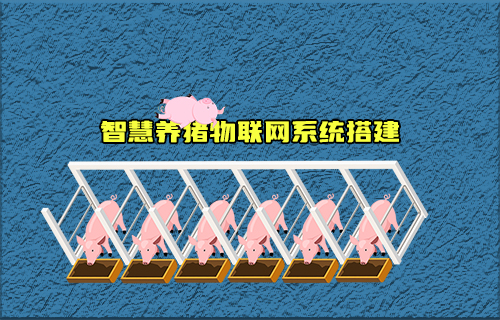 【科普視頻】智慧養(yǎng)豬物聯(lián)網(wǎng)系統(tǒng)如何搭建？有什么功能？