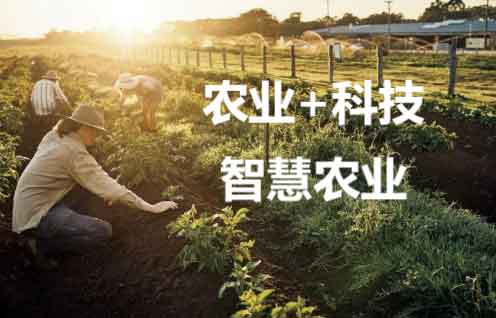 LoRa技術在智慧農(nóng)業(yè)中的物聯(lián)網(wǎng)應用案例分享