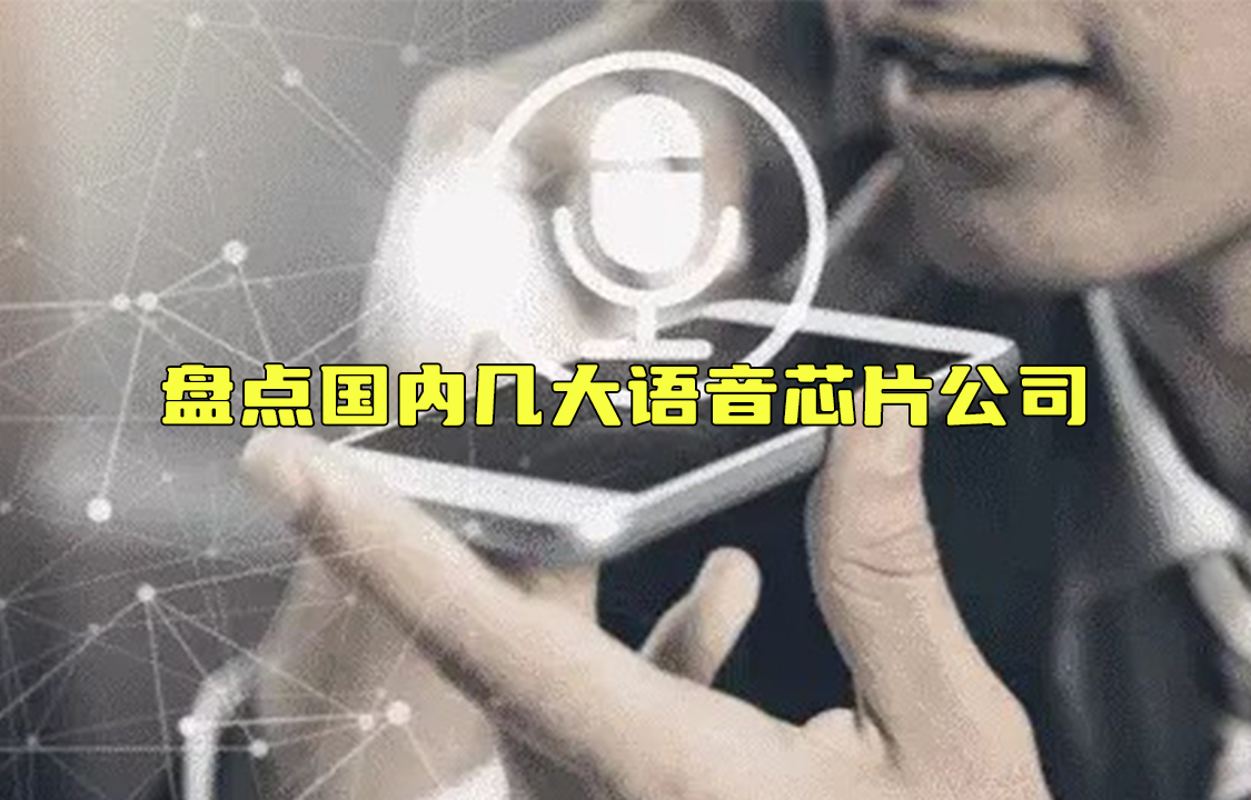 【科普視頻】盤點國內幾大語音芯片公司