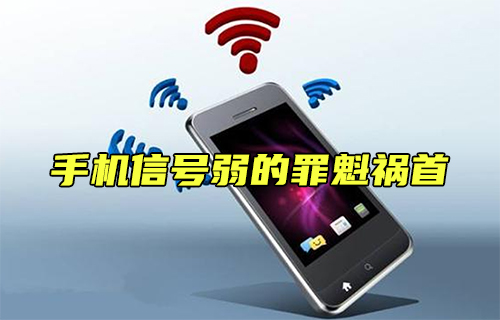 【科普視頻】揭秘手機信號弱的罪魁禍?zhǔn)?/>
            </figure>
            <figcaption>
               <h3>【科普視頻】揭秘手機信號弱的罪魁禍?zhǔn)?/h3>
               <time>2023-09-12</time>
               <span></span>
            </figcaption>
          </a>
        </li>
              
                   <li>
          <a href=