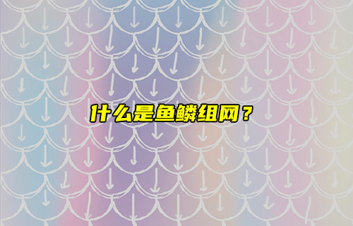 【物聯(lián)科普】新技術(shù)！什么是魚鱗組網(wǎng)？
