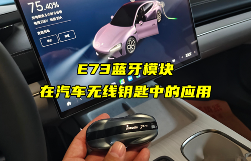 【藍(lán)牙模塊應(yīng)用方案】E73藍(lán)牙模塊在無線鑰匙中的應(yīng)用