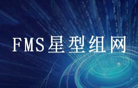 什么是FMS星型組網(wǎng)技術(shù)？FMS星型組網(wǎng)產(chǎn)品介紹